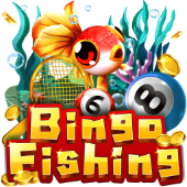 Bingo Fishing jiligames casino